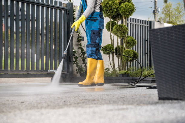 Best Exterior Home Cleaning  in K I Sawyer, MI